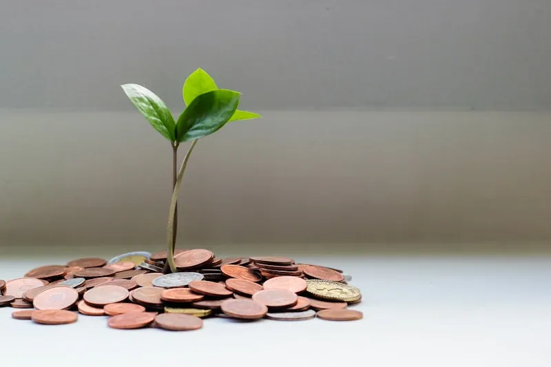 Self-employed business owner